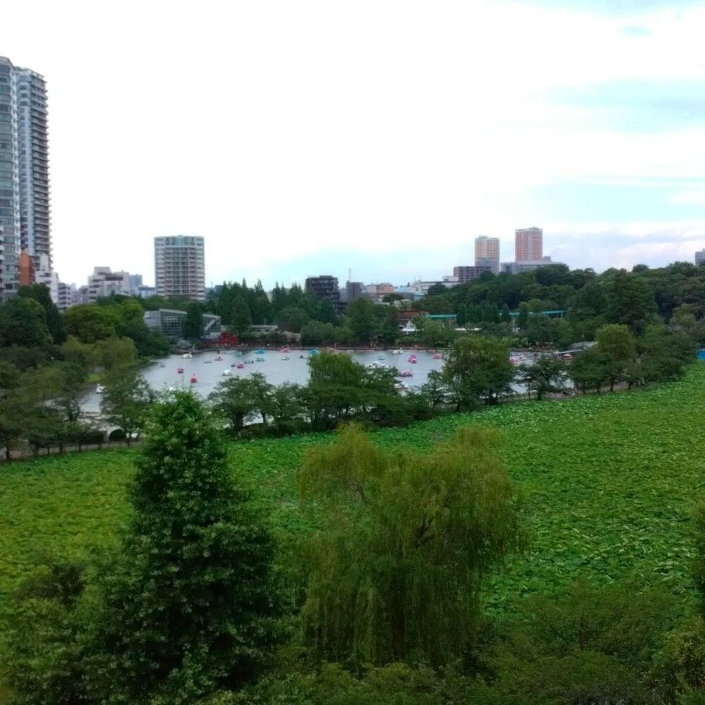 ブログ