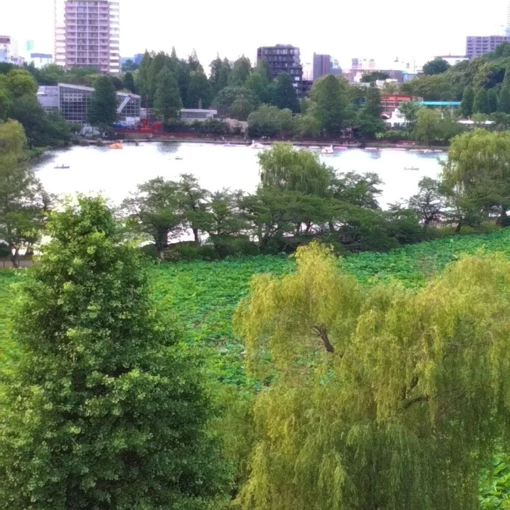 ブログ