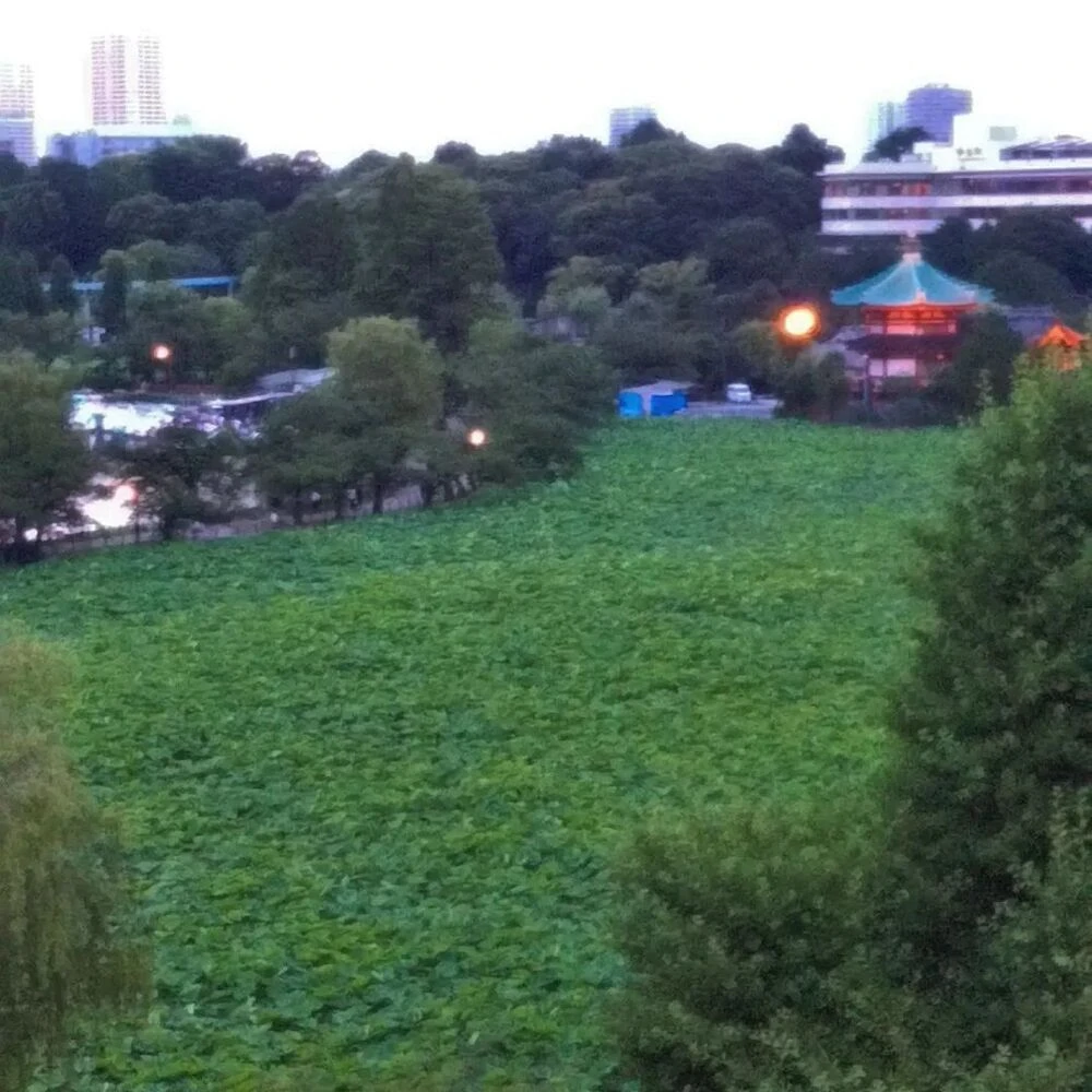ブログ