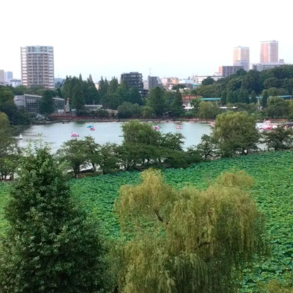 ブログ