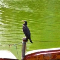 ブログ