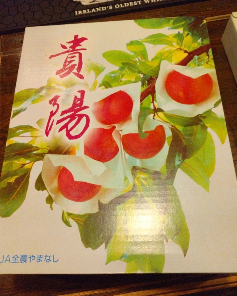 ブログ