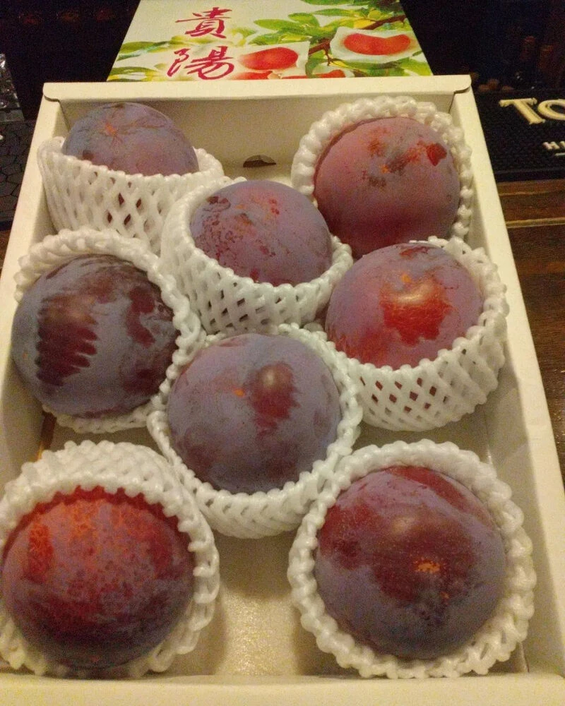 ブログ